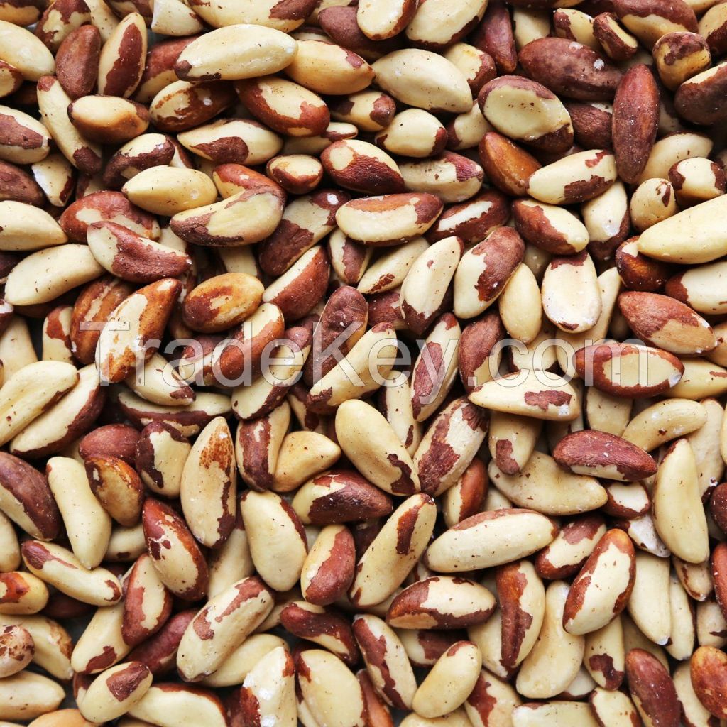 Quality and Sell  Hot Selling Cheap Brazil Nuts with 100% Natural Grade A 