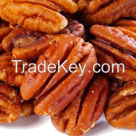 Quality and Sell  Roasted Pecan Nuts / Salted Pecan Nuts / Raw Pecan Nuts With Shell For Sale 