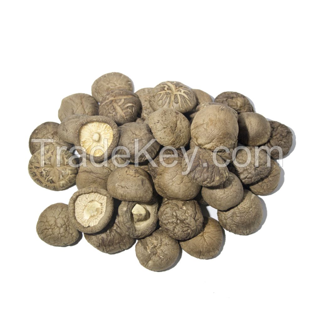 Quality and Sell  Dried Shiitake Mushroom 