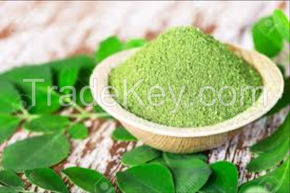 Quality and Sell Moringa