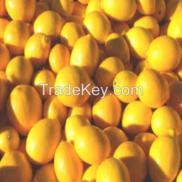 Quality and Sell Grade A Fresh Lemons / Fresh Grapes / Fresh Orange