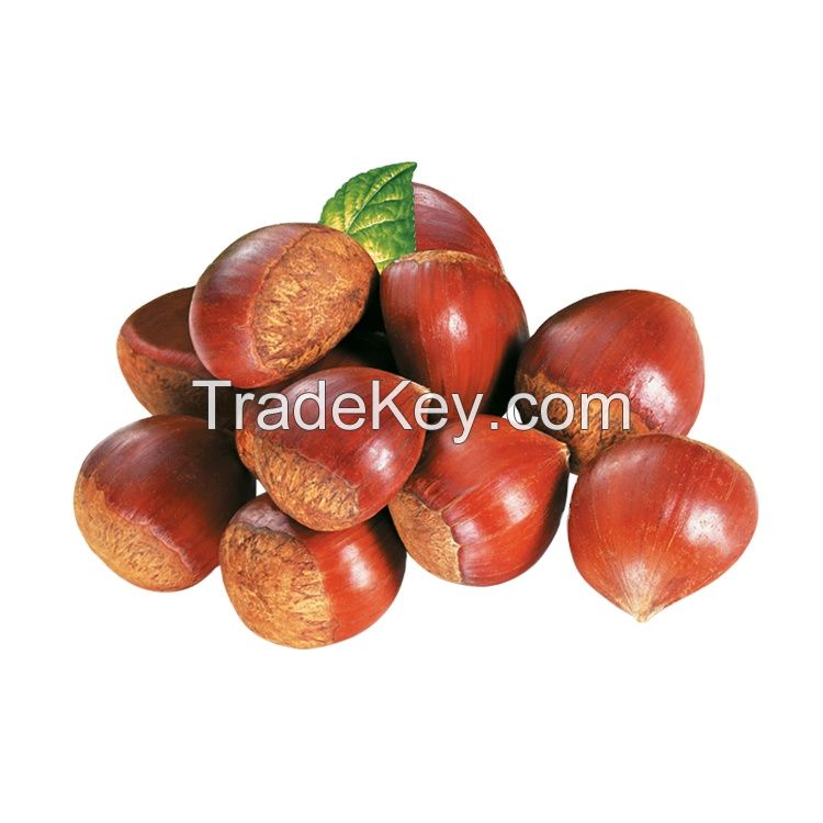 Quality and Sell new season small bag packaged Organic Roasted Chestnuts with shell