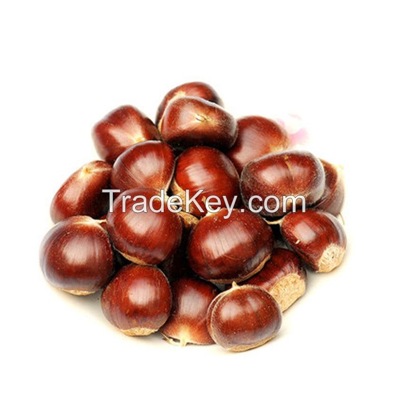 Quality and Sell new season small bag packaged Organic Roasted Chestnuts with shell