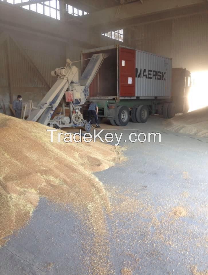 Quality and Sell Milling wheat 11.5% Ukraine origin containers shipment