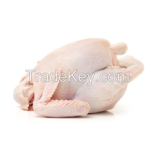 Quality and Sell Halal Frozen Whole Chicken