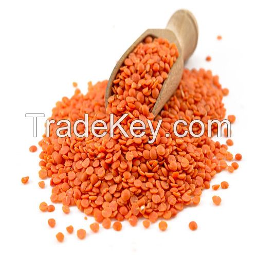 Quality and Sell Red Lentils Whole and Split Available