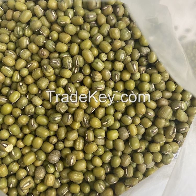 Quality and Sell New Crop Green Mung Beans Cheap Fresh Mung Beans For Wholesale