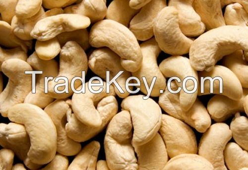 Quality and Sell Raw Cashew Nuts