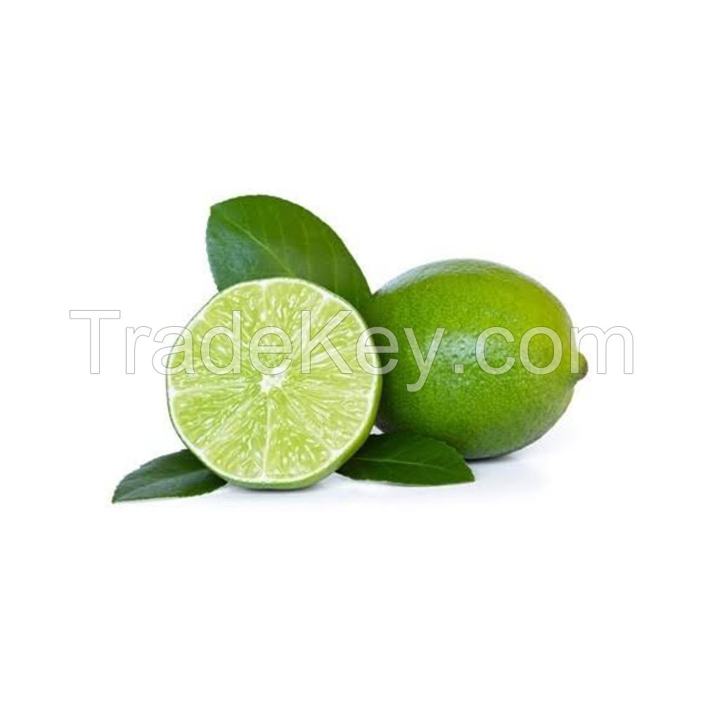 Quality and Sell fresh lemons