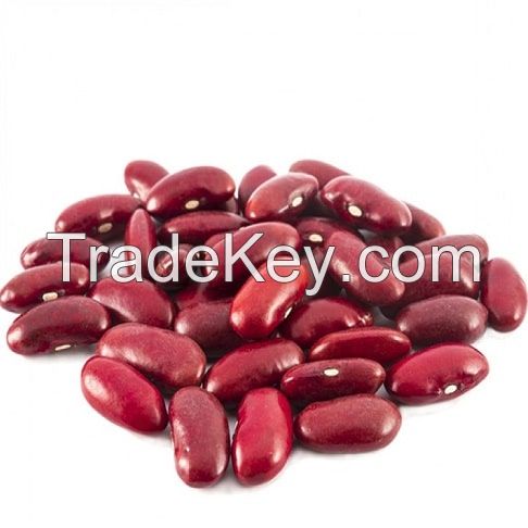 Quality and Sell Red Speckled beans
