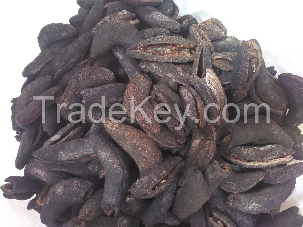 DRIED SEA CUCUMBER