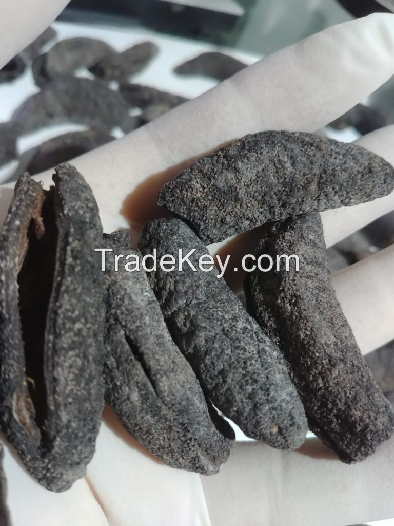 DRIED SEA CUCUMBER