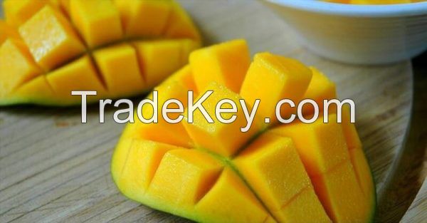 Fresh Keo Mango From Vietnam- High Quality Fresh Fruit 100% Natural Sweet (HuuNghi Fruit)