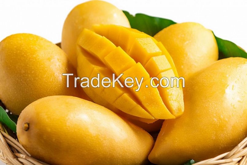 Fresh Cat Hoa Loc Mango From Viet Nam-High Quality, Stable Supply, Competitive Price (Huunghi Fruit)