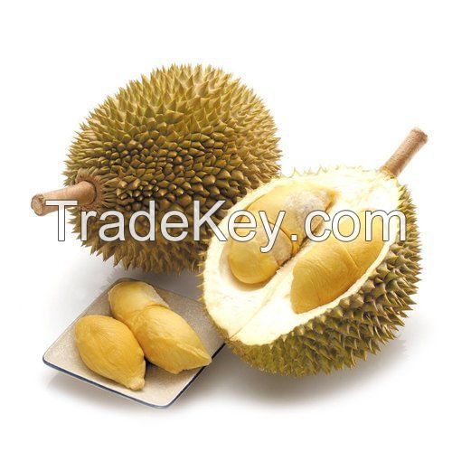 Fresh Musang King Durian From Vietnam-Best Selling Product and High Quality (HuuNghi Fruit)