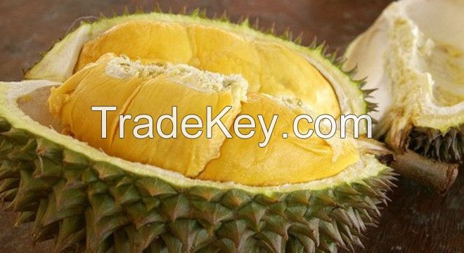 Fresh RI6 Durian From Vietnam-High Quality and Competitive Price (HuuNghi Fruit)