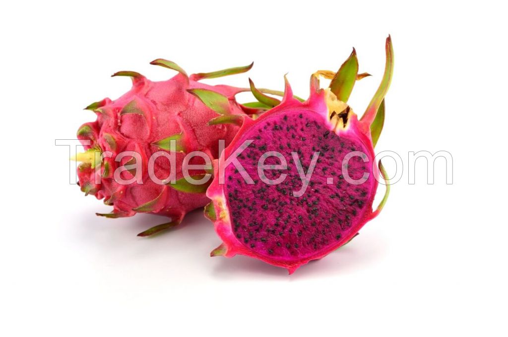 Fresh Dragon Fruit From Vietnam- 100% Natural Sweet with High Quality (HuuNghi Fruit)
