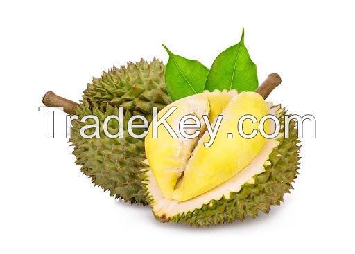 Fresh RI6 Durian From Vietnam-High Quality and Competitive Price (HuuNghi Fruit)