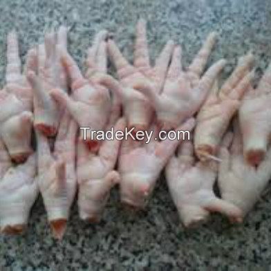 Export Grade Halal Frozen Whole Chicken Chicken Feet Chicken Paw