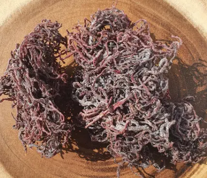Purple seaweed has many special uses. 100% natural products directly exploited in Vietnamese beaches-