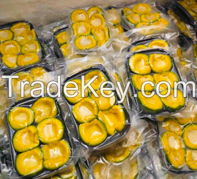 IQF Avocado - High Quality, Stable Supply, Competitive Price (HuuNghi Fruit)