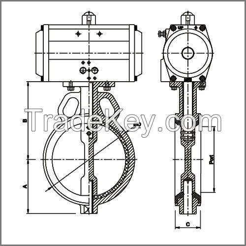 Wafer and lug type butterfly valves