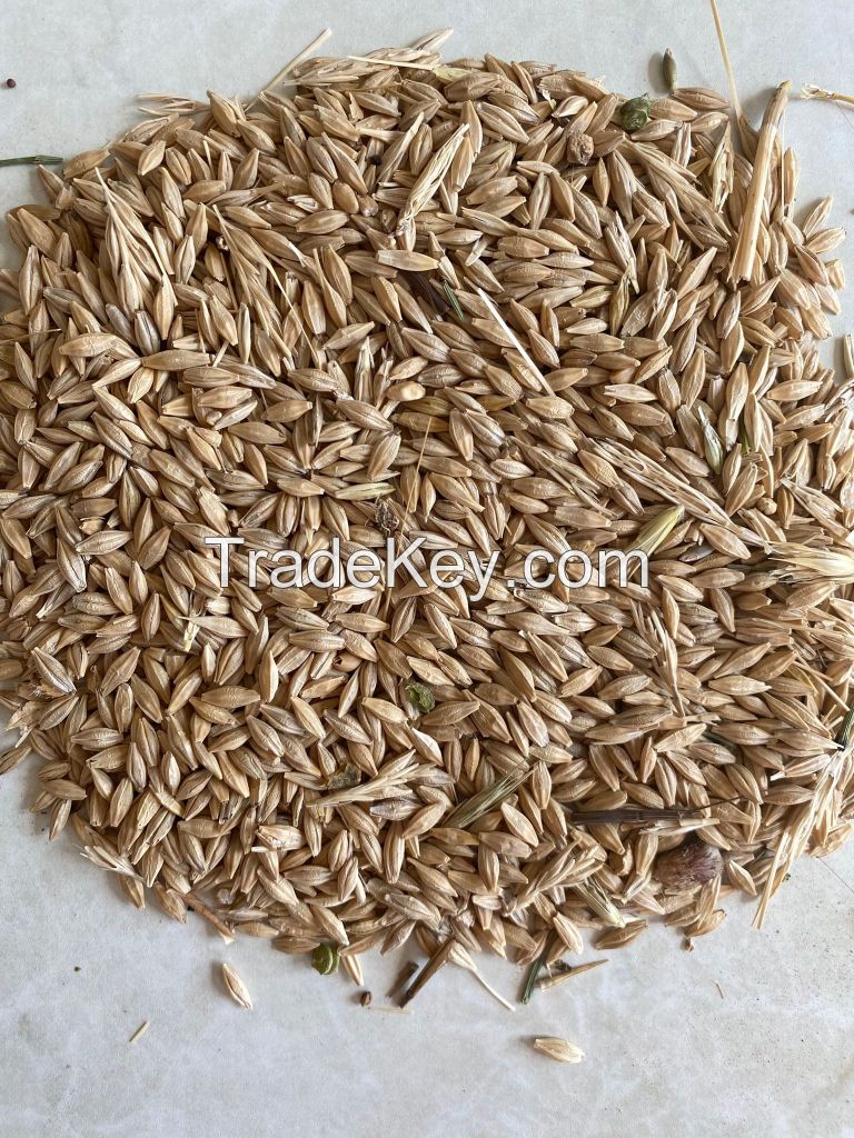 Barley, Buckwheat, Corn, Dried Grain Products, Millet