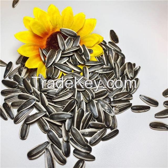 Sunflower Seeds 361