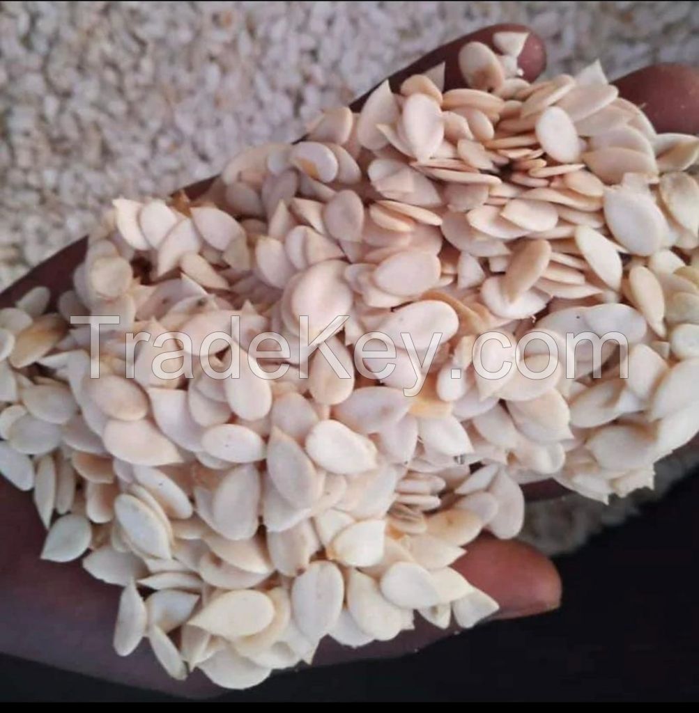 Dried Melon Seeds (Egusi)