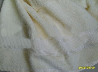 Terry Cotton Towel