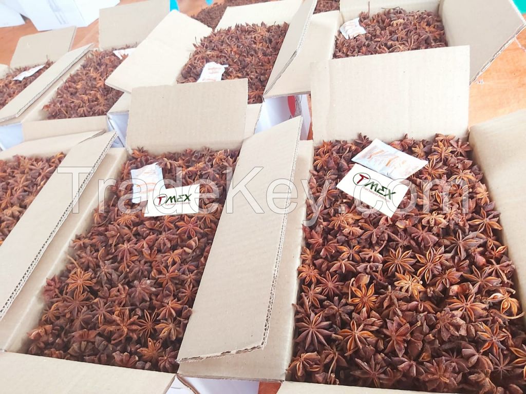 vietnam Star anise Harvesting crop Cheap High quality Hot sale