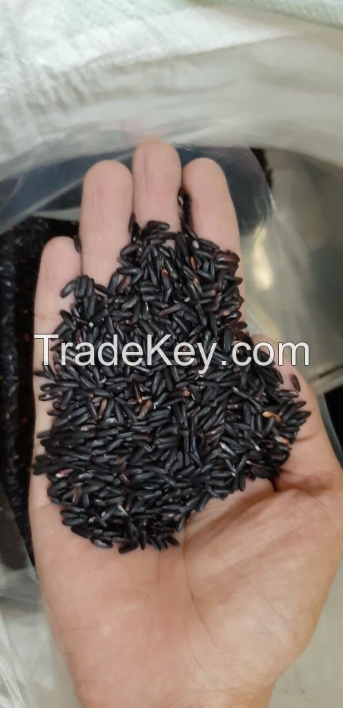 Premium quality BLACK RICE with the most competitive rice from Vietnamese manufacturer