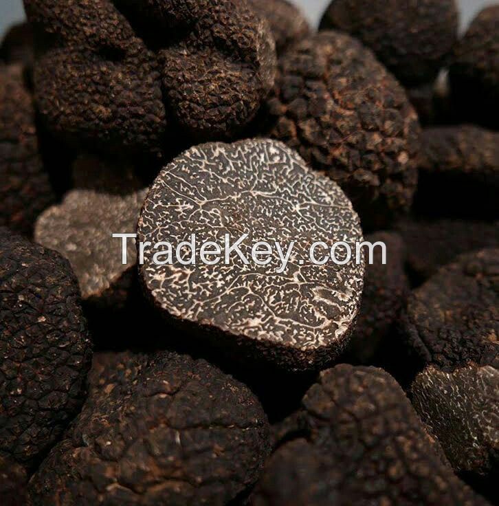 Tuber Aestivum, Black summer truffle