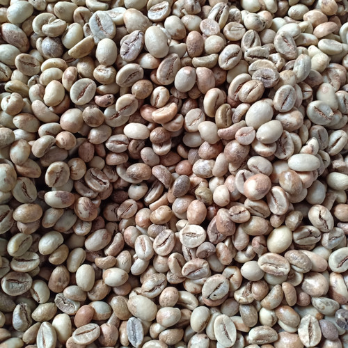 Robusta Coffee Bean