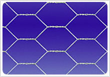 Hexagonal wire mesh