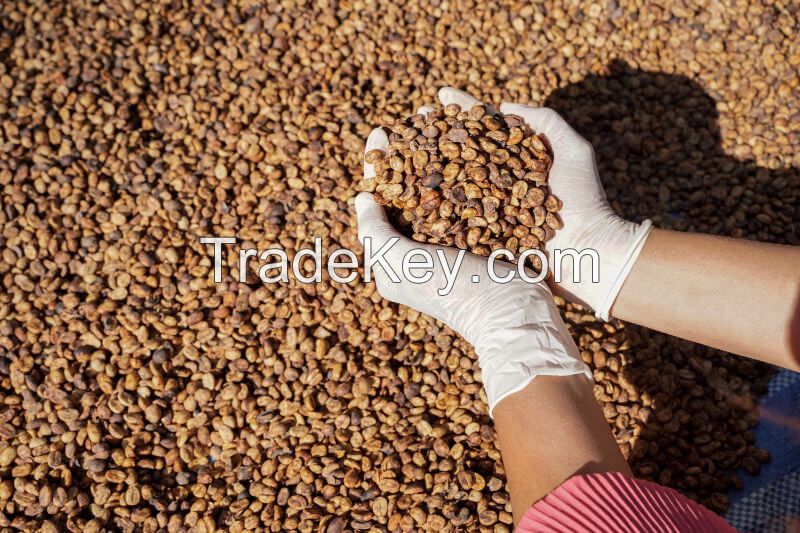 Java Preanger Arabica Coffee Green Beans