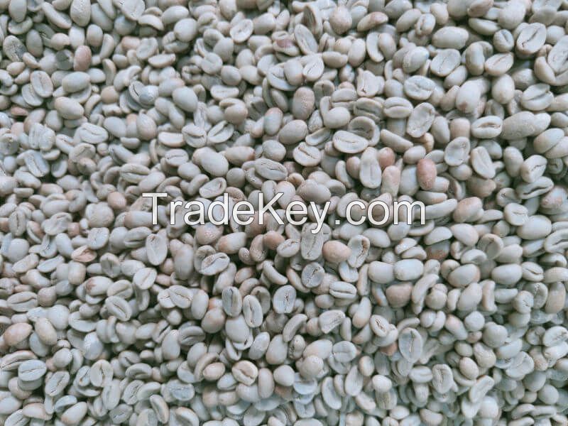 Sumatra Koerintji Arabica Coffee Green Beans - Organics