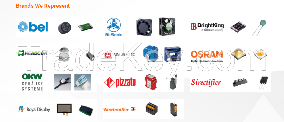 LED lights (indoor and outdoor lights), drivers and electronic components. 