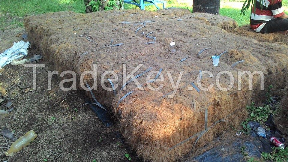 Coconut Fiber / Coconut peat