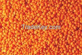 High Quality Bulk Dried whole split Lentils Red Lentils Green Lentils