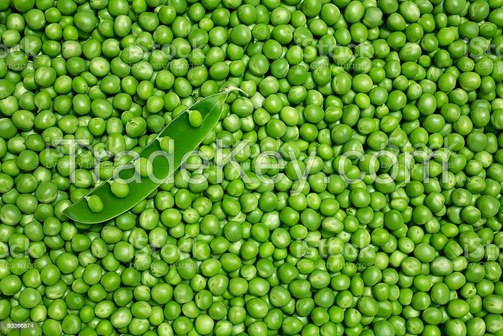 Good quality peas in bulk for food production