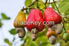 Cashew nuts