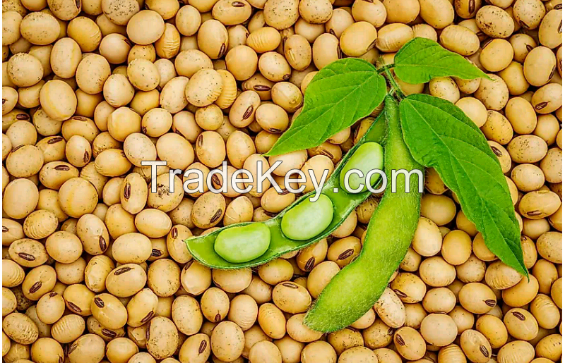 Soya beans