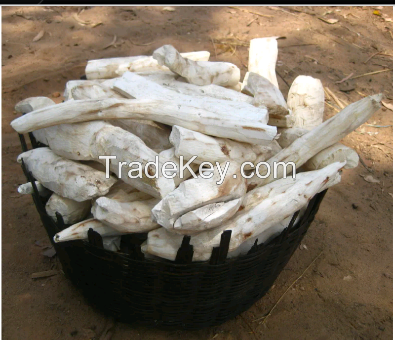Dried cassava