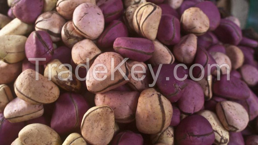 Kola nuts