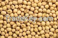 NÃ�TURAL SOYBEANS