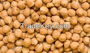 Chick peas, Shewa Type