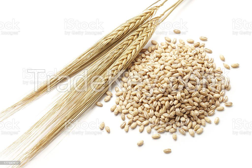 corn,soybeens,barley