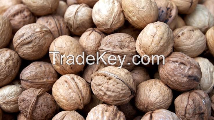 Walnut