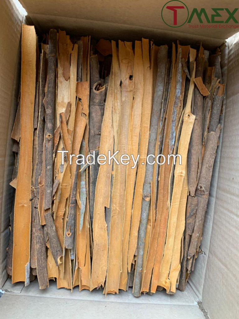 split cassia cinnamon vietnam high quality instock inlarge quantity